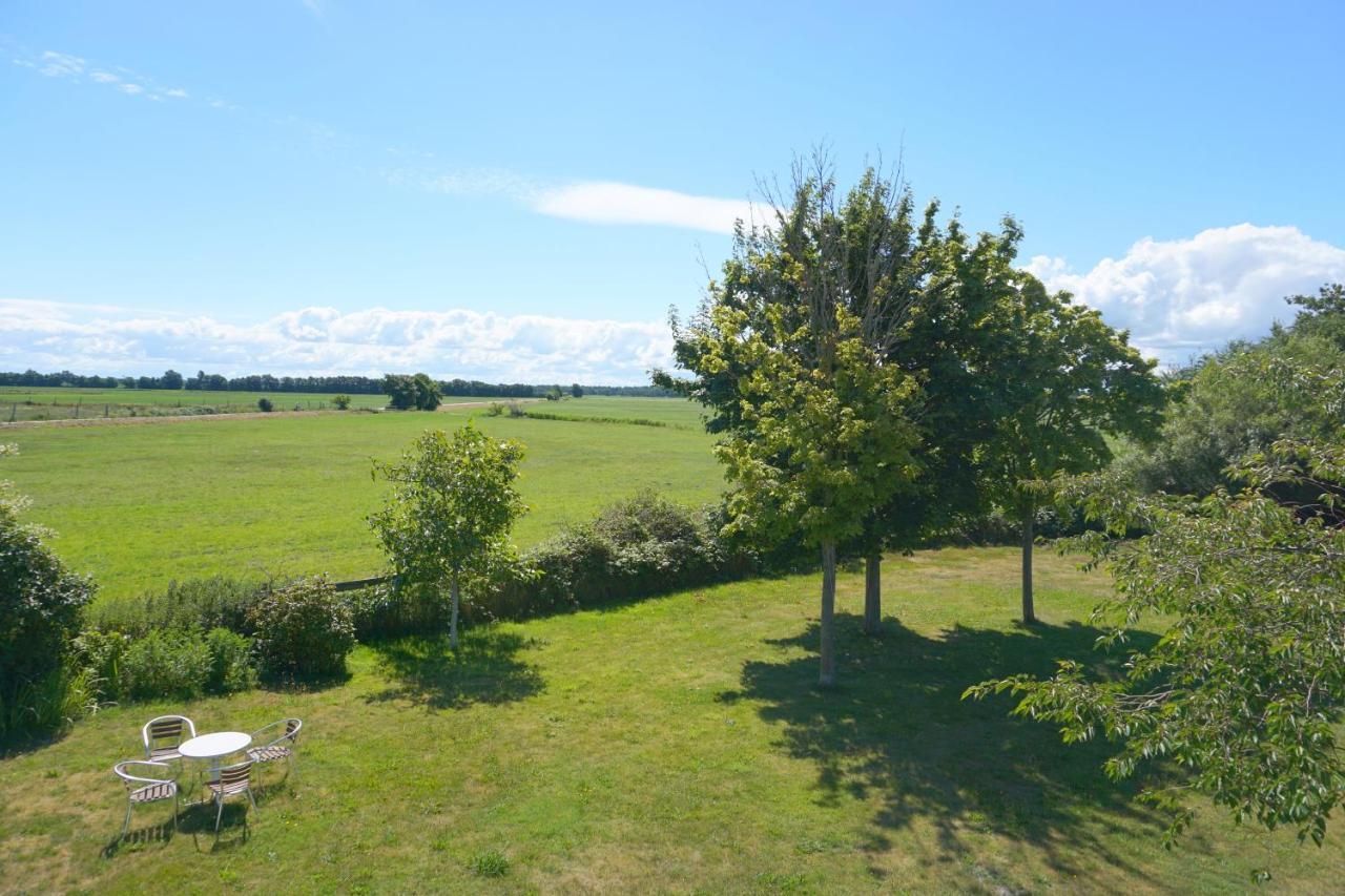 Haus Am Deich Ferienwohnungen Prerow Exteriör bild